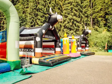 Henri, Chalet 4 personnes à Moléson sur Gruyères - Photo 32