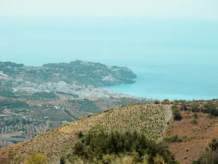Antia, Gite 4 personnes à La Herradura - Photo 18