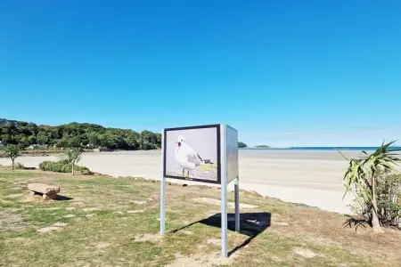 Holiday home in Plougasnou Baie de Morlaix, Maison de charme au cœur du village - Photo 28