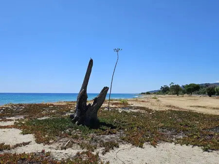 Villa pour 6 pers - Plage à 10mn à pied, Villa 6 personnes à Solaro - Photo 20
