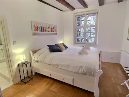 Colmar : Appartement 6 pers, charme et modernité, centre-ville, parking inclus - Photo 4