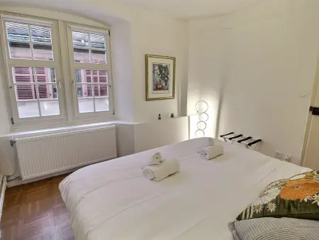 Colmar : Appartement 6 pers, charme et modernité, centre-ville, parking inclus - Photo 6