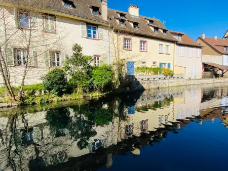 Colmar : Appartement 6 pers, charme et modernité, centre-ville, parking inclus - Photo 32