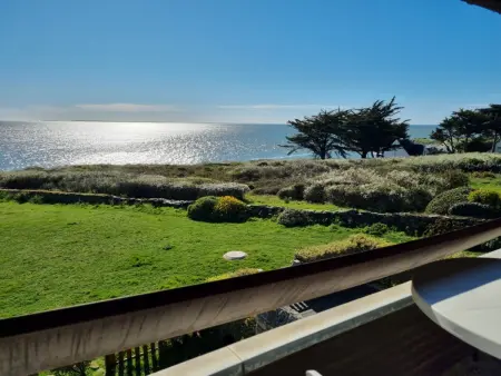 Appartement vue mer avec balcon, proche plage, animaux acceptés - Photo 16
