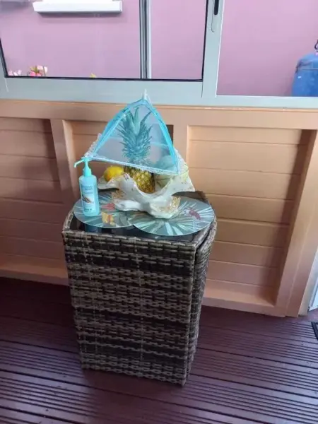 Appartement avec piscine privée à Rivière-Pilote, 45 m² - Photo 6