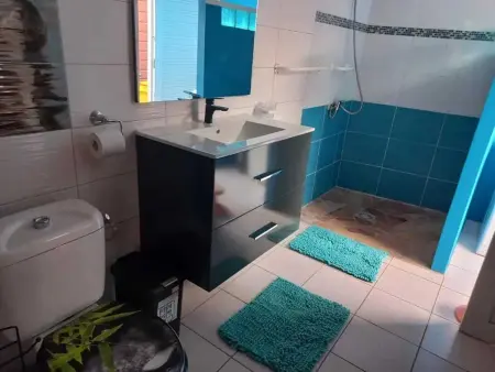 Appartement avec piscine privée à Rivière-Pilote, 45 m² - Photo 20