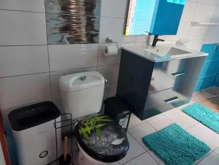 Appartement avec piscine privée à Rivière-Pilote, 45 m² - Photo 21