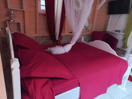Appartement avec piscine privée à Rivière-Pilote, 45 m² - Photo 22