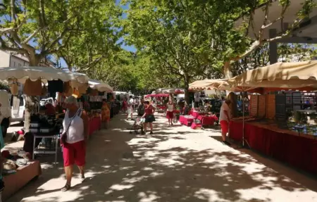 Chalet en campagne, Maison 3 personnes à Salon de Provence - Photo 22