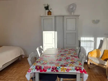 Studio cosy avec WIFI, jardin et parking à La Roche-Posay - Photo 2