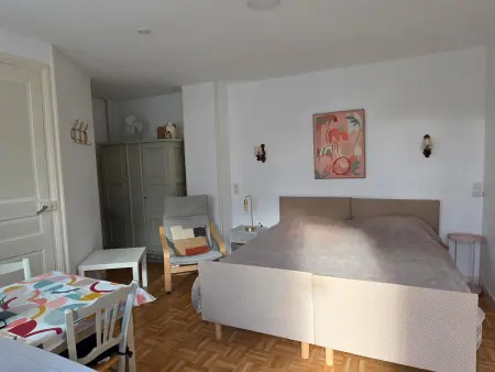 Studio avec balcon, jardin commun, WIFI, près des Thermes - Photo 6