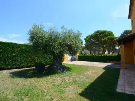Maison rustique à Torre Vella avec piscine privée - Photo 13