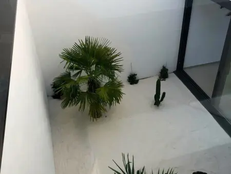 Villa de luxe à Mas Pinell avec accès direct plage et piscine privée - Photo 14