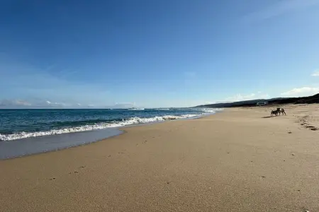 619247, Casa Golfo Asinara - Photo 18