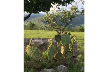 484681, Maison de vacances Aison Le Barret - Photo 12