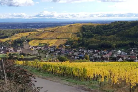 605956, La Maison des Amis - Photo 14