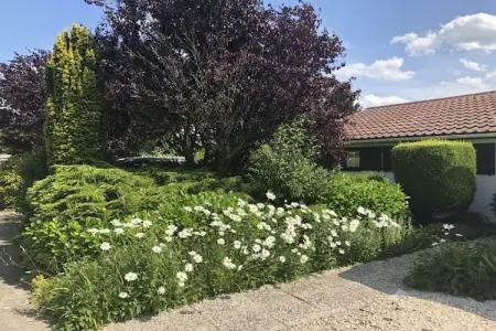 186075, Maison des dunes Vent de la mer du Nord - Photo 16