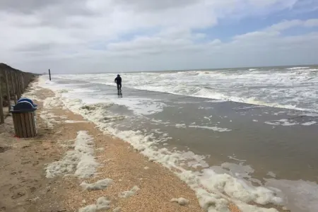 186075, Maison des dunes Vent de la mer du Nord - Photo 26