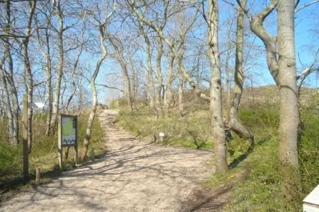 186075, Maison des dunes Vent de la mer du Nord - Photo 30