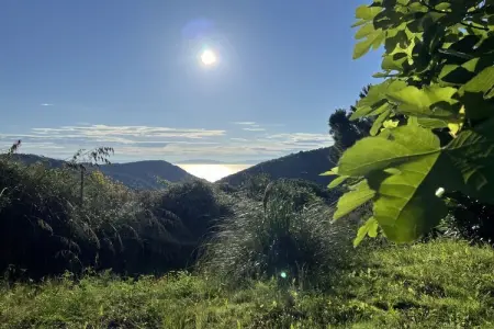 226226, Villa à Rio Elba avec barbecue et Wi-Fi - Photo 8