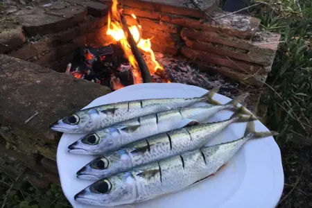 226226, Villa à Rio Elba avec barbecue et Wi-Fi - Photo 12
