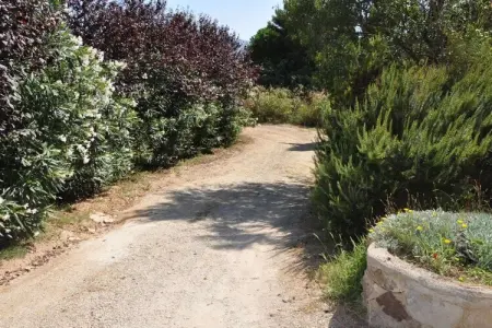 226226, Villa à Rio Elba avec barbecue et Wi-Fi - Photo 13