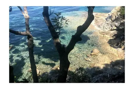 226226, Villa à Rio Elba avec barbecue et Wi-Fi - Photo 35