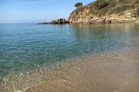 226226, Villa à Rio Elba avec barbecue et Wi-Fi - Photo 36