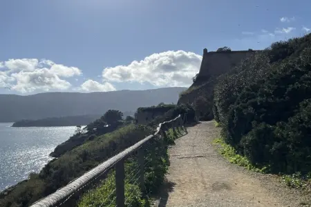226226, Villa à Rio Elba avec barbecue et Wi-Fi - Photo 39