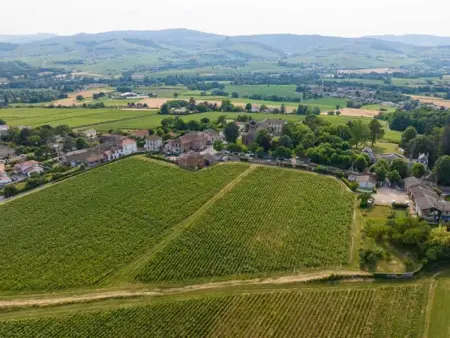 Appartement charmant à Charnay-lès-Mâcon avec jardin - Photo 26