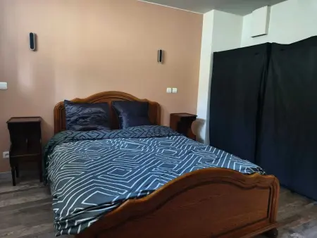 Appartement charmant à Charnay-lès-Mâcon avec jardin - Photo 27