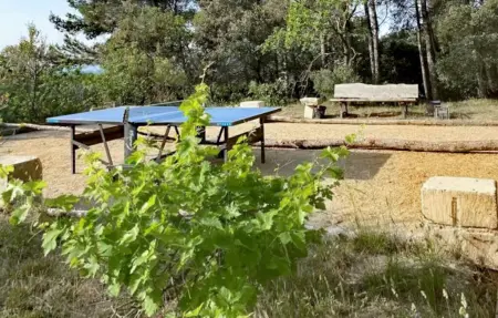 Maison piscine proche Alpilles, Maison 8 personnes à Noves - Photo 8