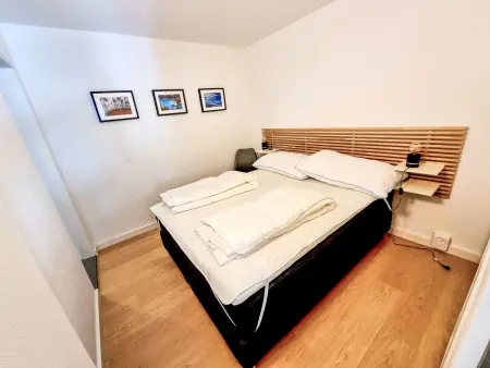Quadra Apt. 222, Appartement 4 personnes à Flims - Photo 9