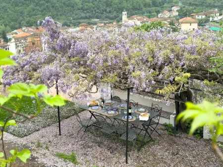 La Vigna, Villa 8 personnes à Pontedassio - Photo 50