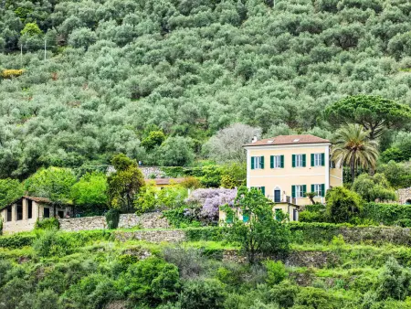 La Vigna, Villa 8 personnes à Pontedassio - Photo 53