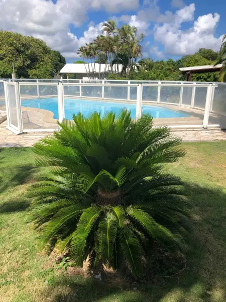 Bungalow charmant avec piscine partagée à Saint-François - Photo 1