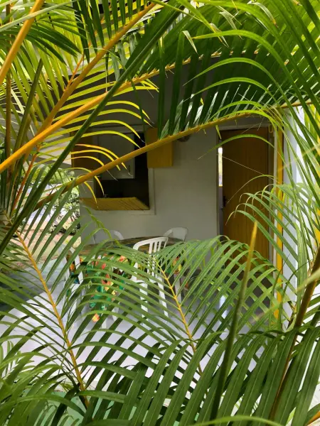 Bungalow charmant avec piscine partagée à Saint-François - Photo 10
