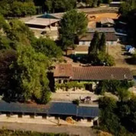 Spacieuse maison avec piscine partagée à Razès - Photo 18