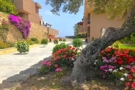 Bilo 4, Appartement à Olbia avec jardin partagé - Photo 17