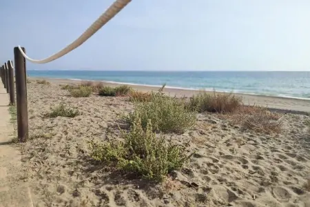 Appartements à San Luis de Sabanillas, Appartement à Sabinillas près de la plage - Photo 11