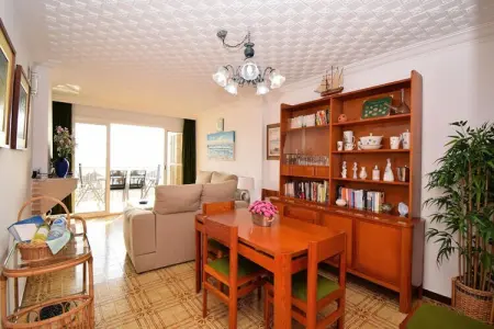 Appartements à Alcúdia - Port d'Alcúdia, Appartement à Alcúdia près de la plage - Photo 9