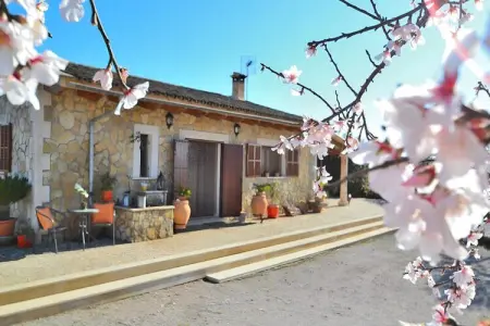 Maison à Ariany, Maison à Ariany avec piscine et tranquillité - Photo 3