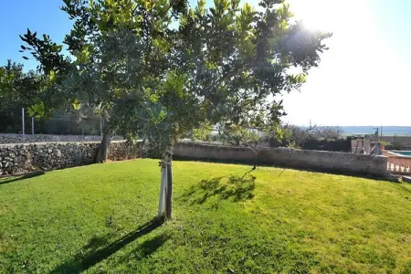 Maison à Ariany, Maison à Ariany avec piscine et tranquillité - Photo 14