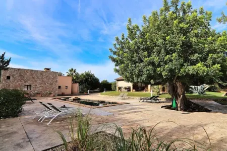Maison à Binissalem, Villa à Binissalem avec piscine et vignobles - Photo 30