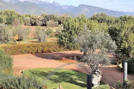 Maison à Binissalem, Villa à Binissalem avec piscine et vignobles - Photo 36