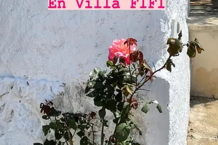 Maison à Cala'n Porter, Villa à Cala'n Porter avec piscine privée - Photo 31