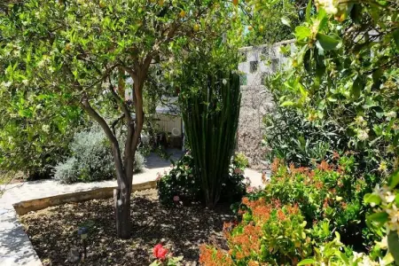 Casa Rural Sofia, Sofia Maison avec piscine à Granadilla de Abona - Photo 14