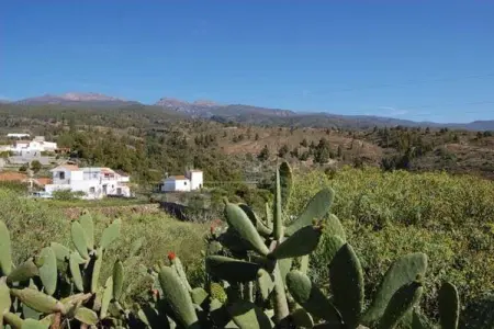 Casa Rural Sofia, Sofia Maison avec piscine à Granadilla de Abona - Photo 17