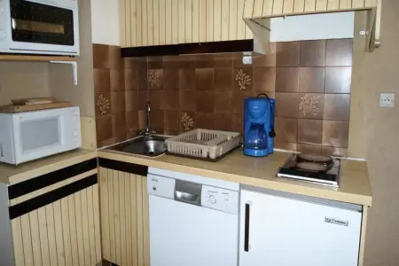 Résidence Le Torrent, Appartement à Pra-Loup près du mont Sugarloaf - Photo 8