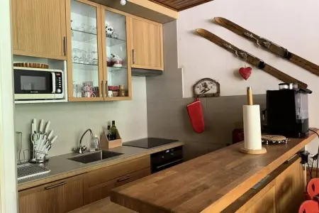 Résidence Chamois, Appartement à Pra-Loup avec vue sur piste - Photo 8